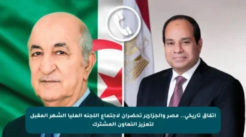 اتفاق تاريخي.. مصر والجزائر تحضران لاجتماع اللجنة العليا الشهر المقبل لتعزيز التعاون المشترك